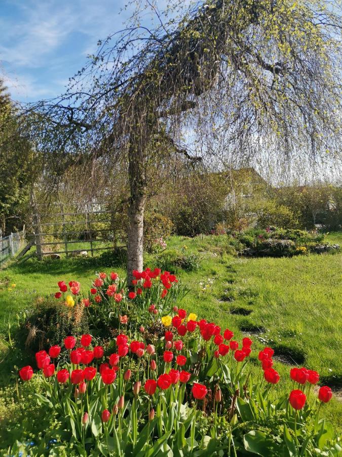 Moderne Ferienwohnung Gartenblick Amtzell Eksteriør billede